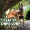 Valiant_Defender