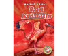 Red_Animals
