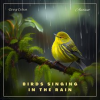 Birds_Singing_in_the_Rain
