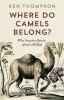 Where_do_camels_belong_