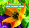 Investigating_how_flowers_grow