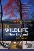 The_wildlife_of_New_England
