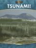 Tsunami_