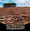 What_can_we_do_about_deforestation_