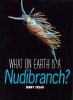 What_on_earth_is_a_nudibranch_
