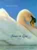 Swan_in_love