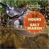 24_hours_in_a_salt_marsh