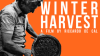 Winter_Harvest