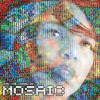 The_Mosaic_Project