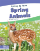 Spring_Animals