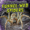 Funnel-Web_Spiders