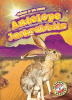 Antelope_Jackrabbits