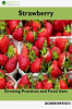 Strawberry__Growing_Practices_and_Food_Uses