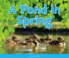 A_Pond_in_Spring