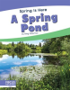 A_Spring_Pond