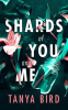 Shards_of_You_and_Me