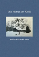 This_Momentary_World