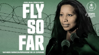 Fly_so_far