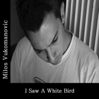 I_Saw_a_White_Bird_-_Single