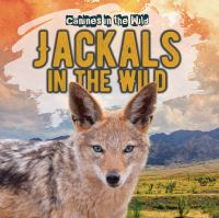 Jackals_in_the_wild