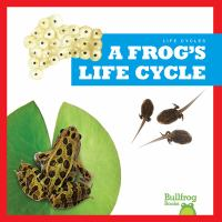 A_frog_s_life_cycle