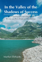 In_the_Valley_of_the_Shadows_of_Success