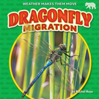 Dragonfly_Migration