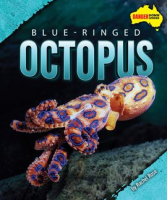 Blue-Ringed_Octopus