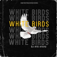 White_Birds