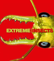 Extreme_Insects